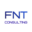 fnt-consulting.com